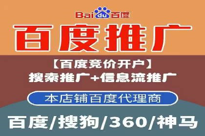 案例研究：SEM代运营服务公司的创新策略